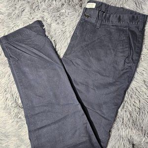 Express Skinny Fit Hayden Dressy pants